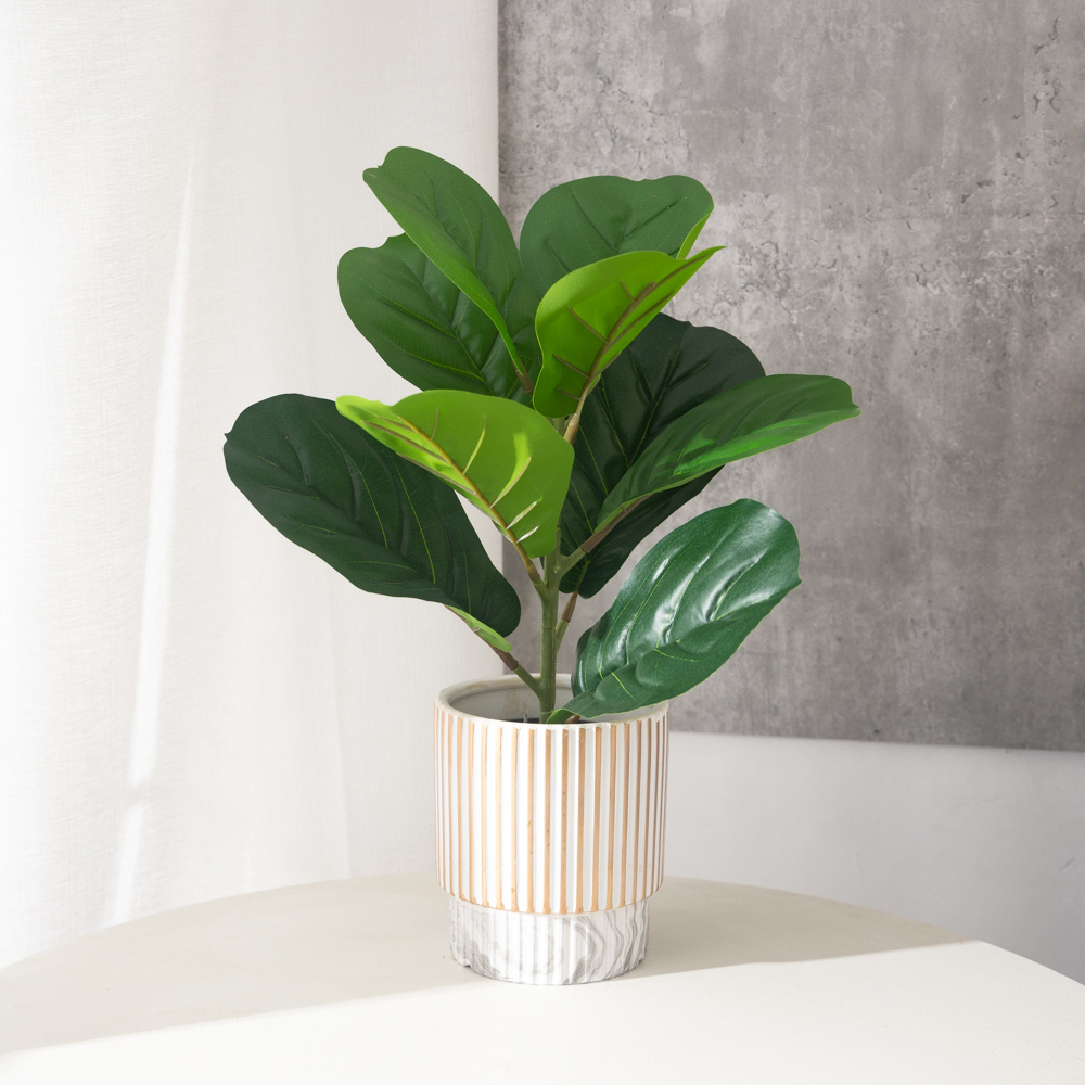 Rubber Plant Ficus - 38 cm 9 Çatal Yapay Ficus