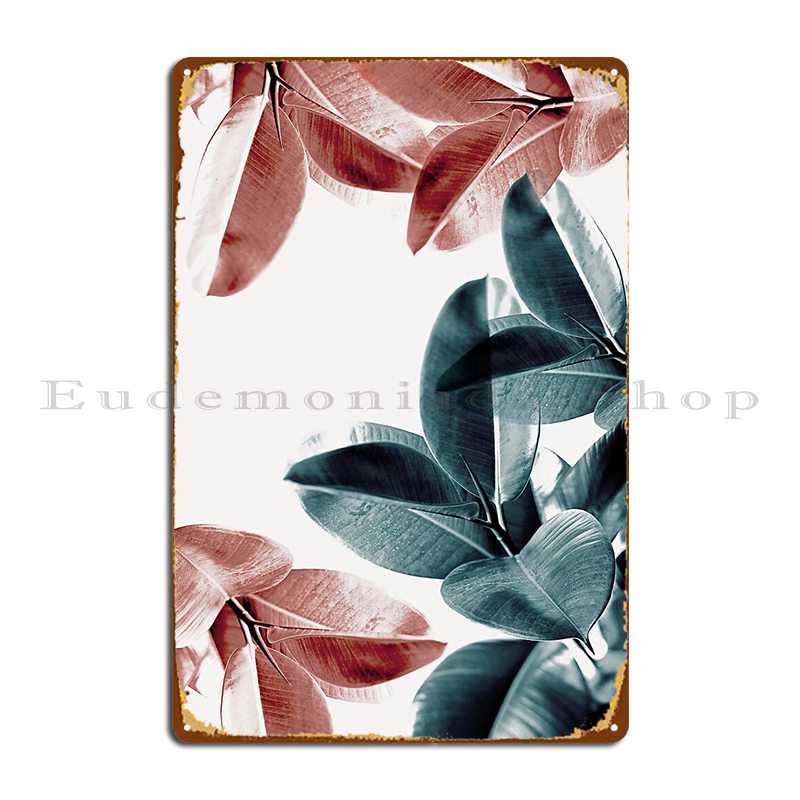 Rubber Plant Ficus - Kauçuk Bitki Yaprakları Yeşil Ve Pembe