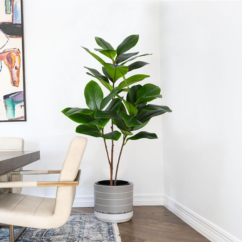 Rubber Plant Ficus - 51in tropikal büyük sahte Banyan bitkiler