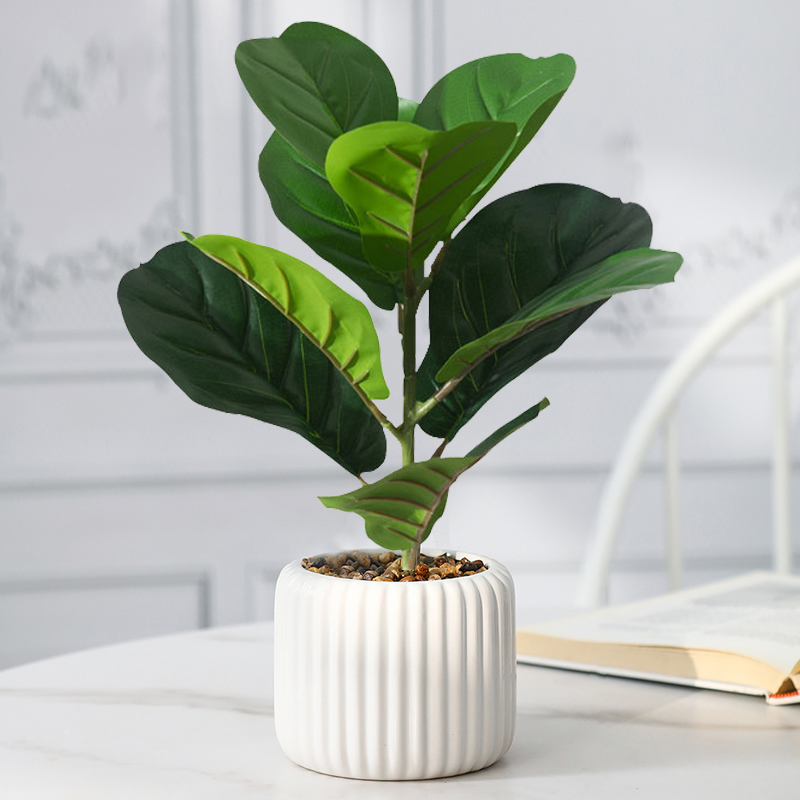 Rubber Plant Ficus - 38 cm Sahte Ficus Ağacı Yapay