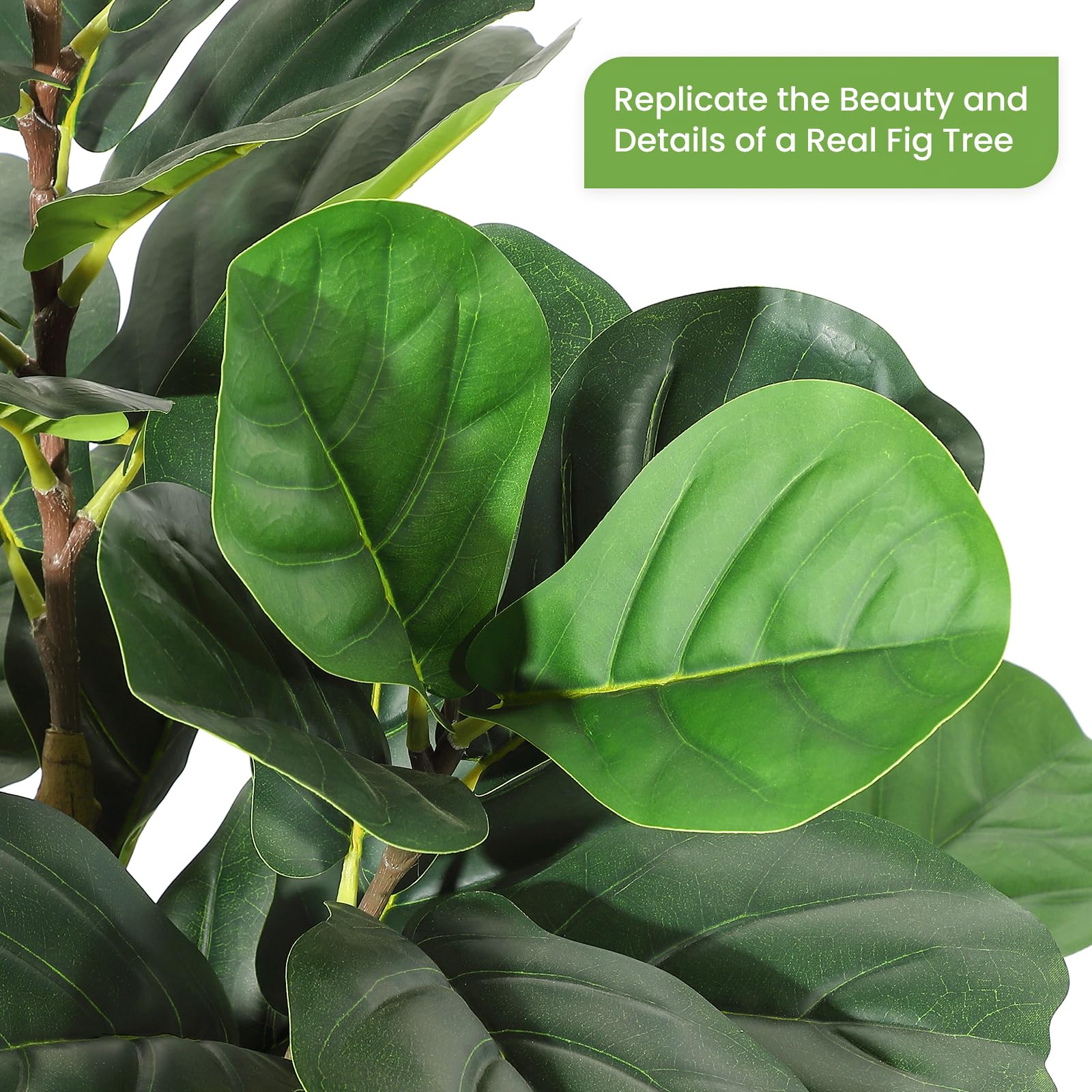 Beyaz Saksılı Yapay Fiddle Lea - Rubber Plant Ficus incelemesi ve fiyatı