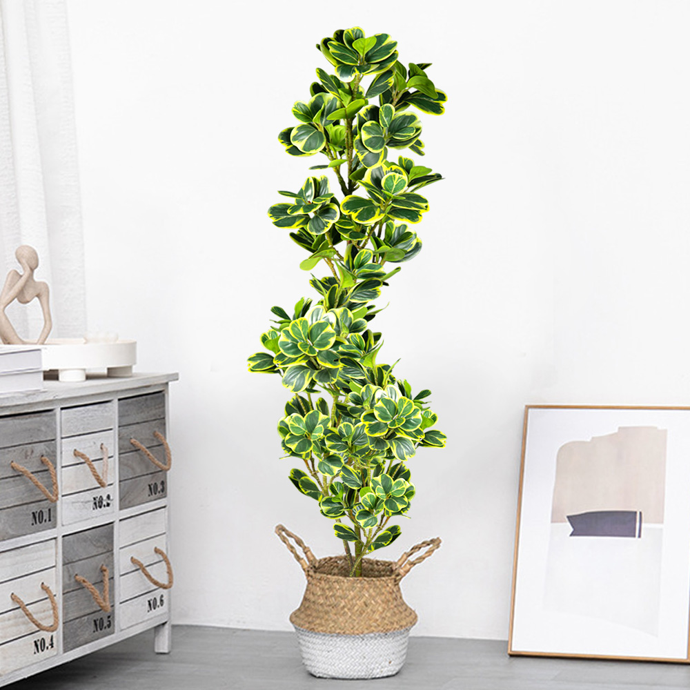 76 cm/115 cm Yapay Ficus Ağacı - Rubber Plant Ficus incelemesi ve fiyatı