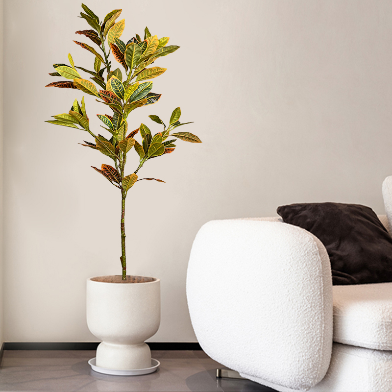 120 cm Büyük Sahte Ficus Ağacı - Rubber Plant Ficus incelemesi ve fiyatı