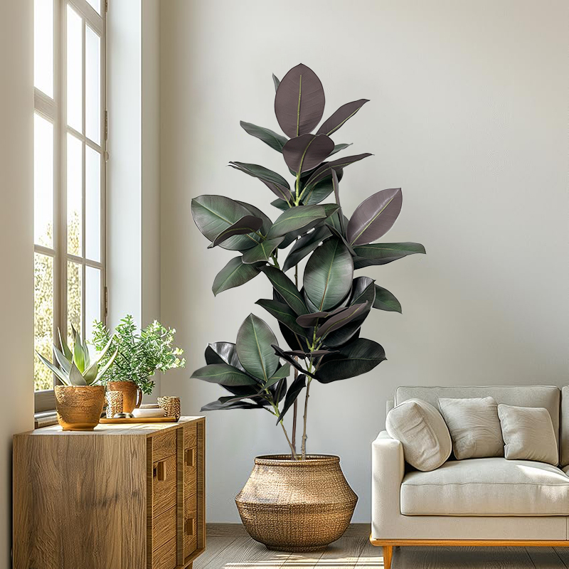70-150cm Yapay Ficus Ağacı Sah - Rubber Plant Ficus incelemesi ve fiyatı