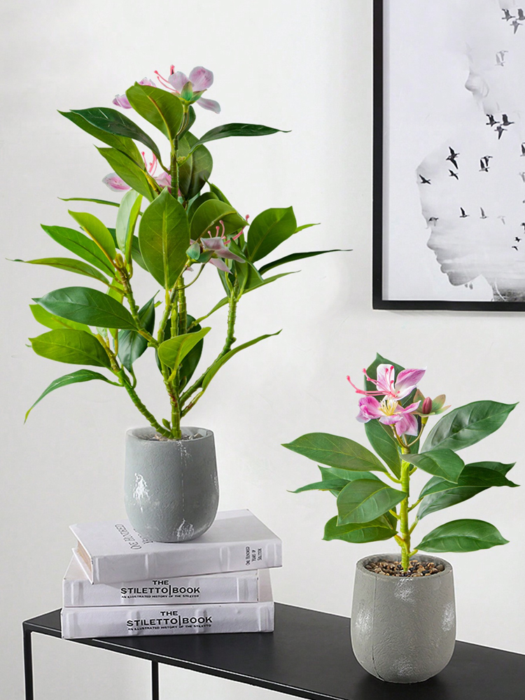 21-40 cm Yapay Azaleas Bitkile - Rubber Plant Ficus incelemesi ve fiyatı