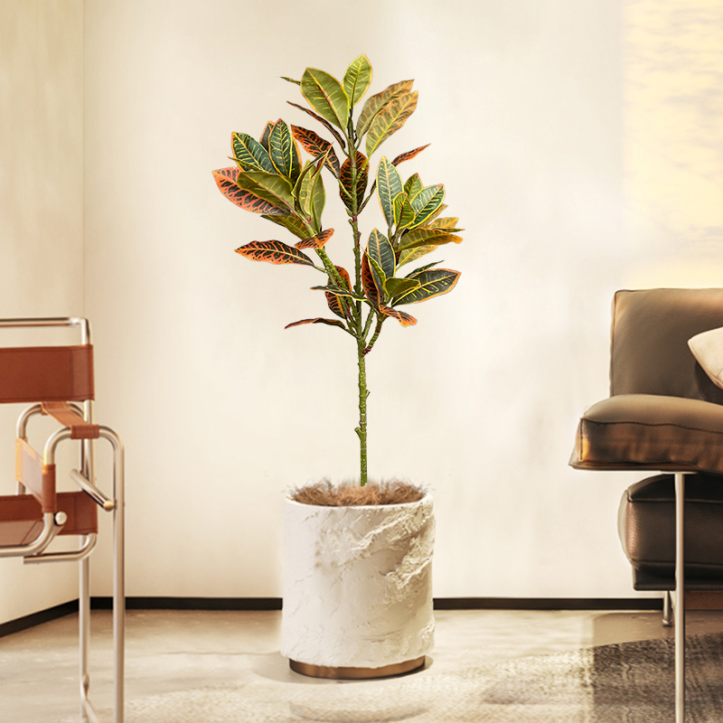 120 cm Büyük Sahte Ficus Ağacı - Rubber Plant Ficus incelemesi ve fiyatı