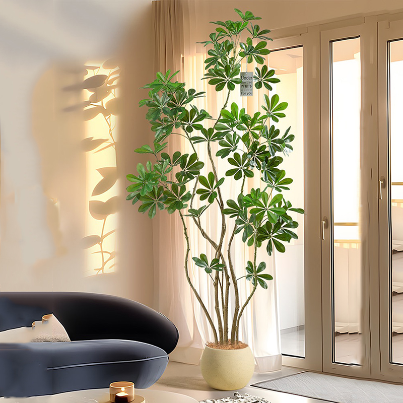 31-74in büyük yapay Ficus ağac - Rubber Plant Ficus incelemesi ve fiyatı