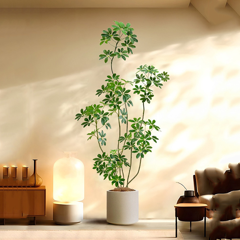 31-74in büyük yapay Ficus ağac - Rubber Plant Ficus incelemesi ve fiyatı