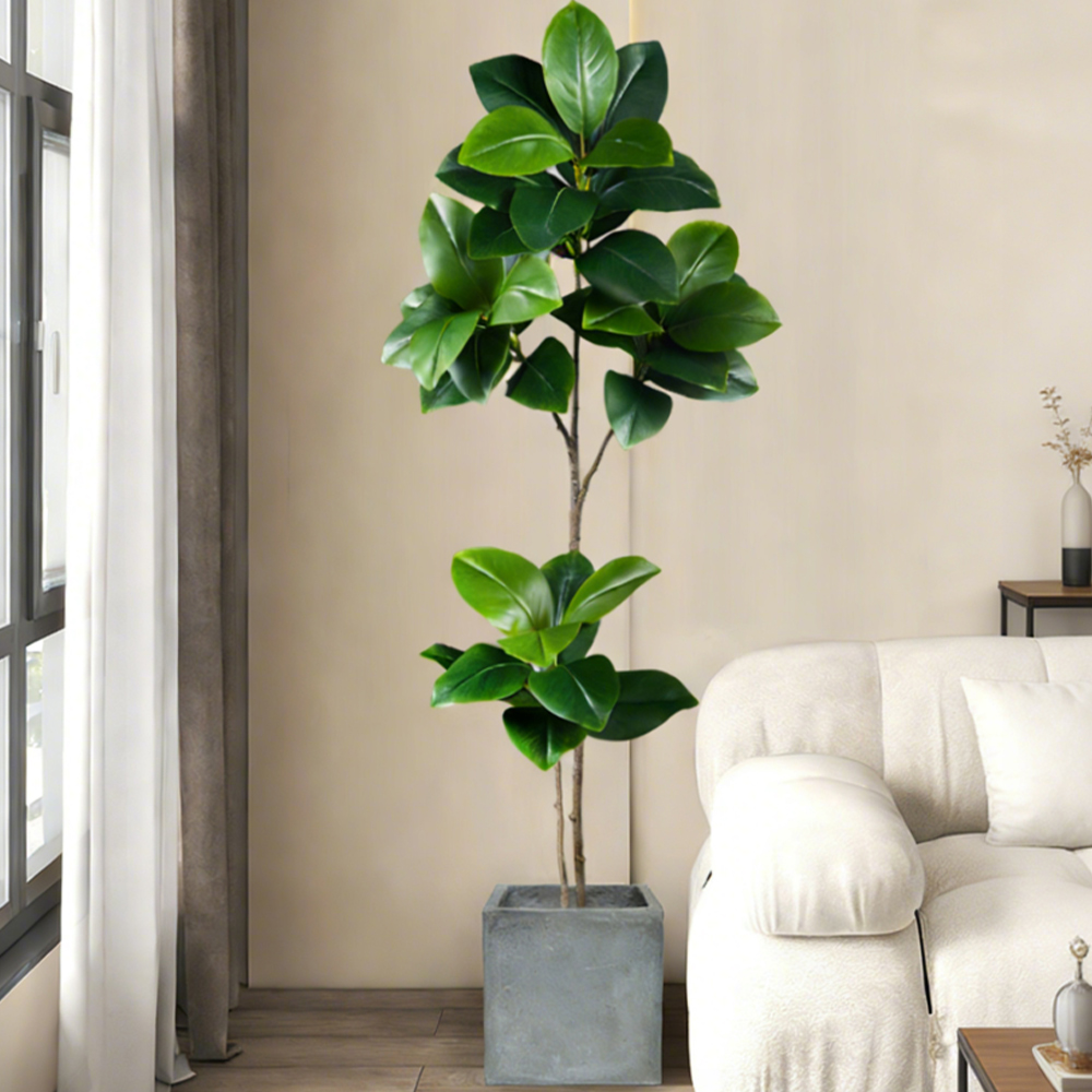 74-140cm Yapay Kauçuk Ağaç Sah - Rubber Plant Ficus incelemesi ve fiyatı