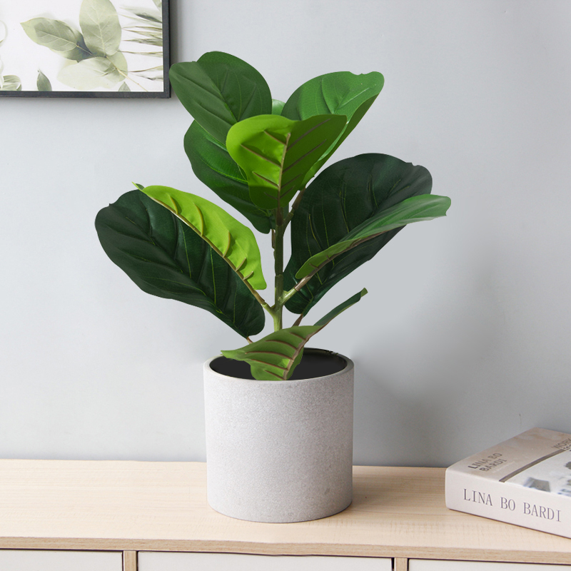 38 cm Sahte Ficus Ağacı Yapay  - Rubber Plant Ficus incelemesi ve fiyatı