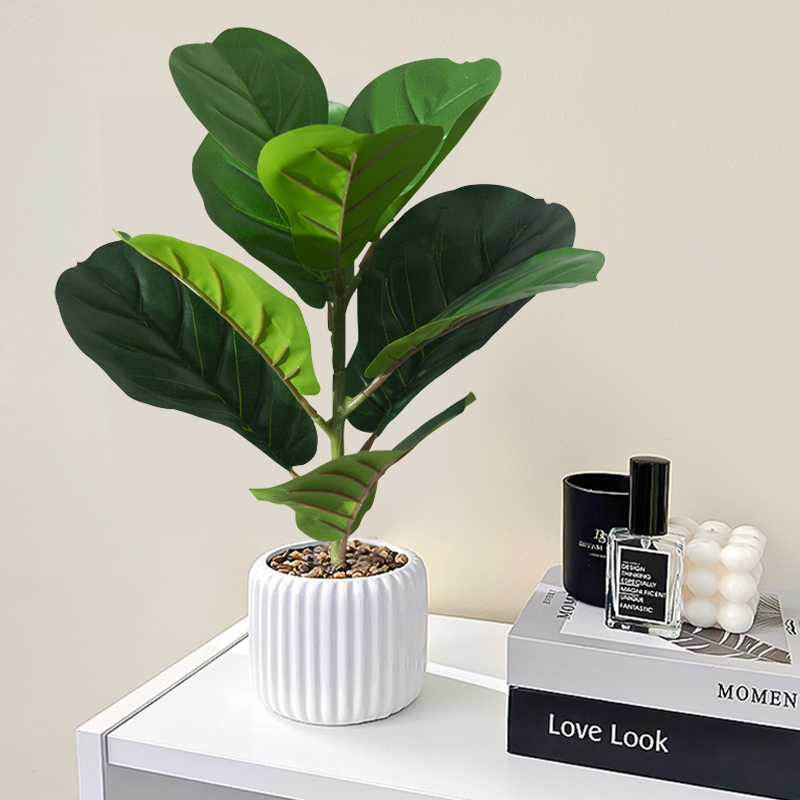 38 cm Sahte Ficus Ağacı Yapay  - Rubber Plant Ficus incelemesi ve fiyatı